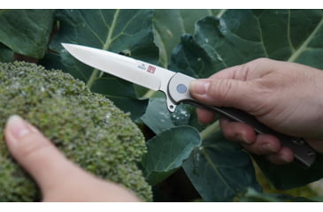 Image of Al Mar Knives Ultra Thin Framelock satin