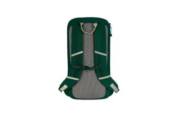 Image of Alite Reyes Pack Backpack, Sutro Green 06-31A-SUG5
