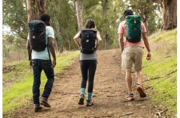 Image of Alite Reyes Pack Backpack, Sutro Green 06-31A-SUG5