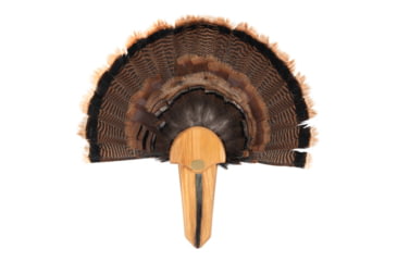 Image of Allen EZ Mount Exhibition Turkey Tail Kit WD, 7220