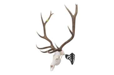 Image of Allen EZ Mount Magnum Skull Hanger, Black, Large, 7223