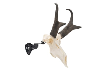 Image of Allen EZ Mount Skull Stand Deer Size, 7203