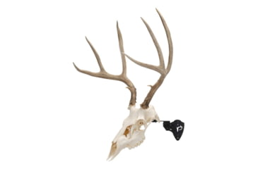 Image of Allen EZ Mount Skull Stand Deer Size, 7203