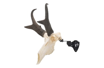 Image of Allen EZ Mount Steel Skull Stand, Rotational Adjustable, Max-weight 15 pounds, Black, 7203