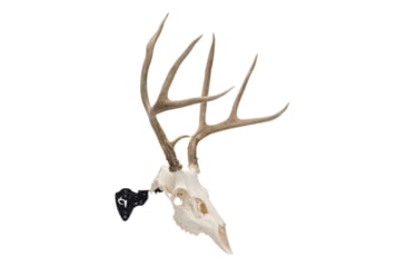 Image of Allen EZ Mount Skull Stand Deer Size, 7203