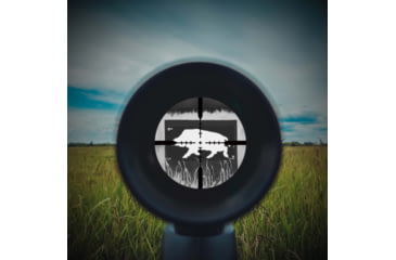 Image of Allen EZ Aim Thermal ID Boar Paper Target, 24in x 12in, Gray, 15801