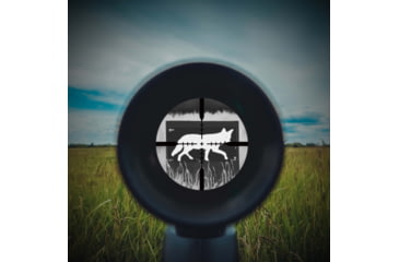 Image of Allen Thermal ID Coyote Paper Target, Gray, 24 Inch x 12 Inch, 15800