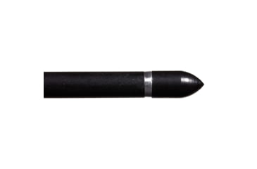 Image of Allen Titan Bullet Point, 100 Grain, Black, 5/16in, 1460