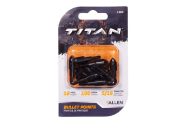 Image of Allen Titan Bullet Point, 100 Grain, Black, 5/16in, 1460