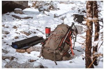 Image of ALPS Mountaineering Journey Trekking Pole