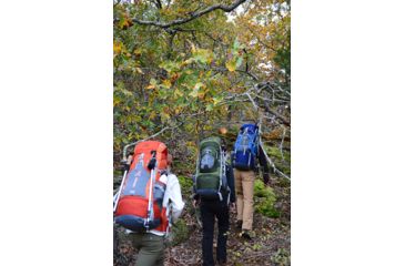 Image of ALPS Mountaineering Red Tail 3900 Pack-Green