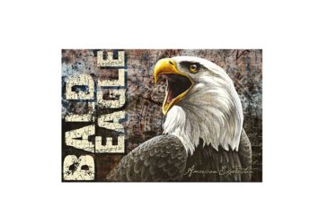 Image of American Expedition Bald Eagle Graphic Canvas Art, 15.7in x 23.6in x 1.12in 4001022