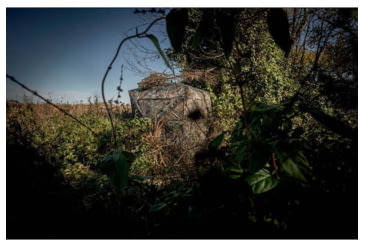 Image of Ameristep Caretaker Run N Gun Blind, Mossy Oak Break Up Country, AMS-AMEBL3031