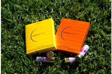 Image of 12 Gauge 9 Pellet 2.75in Buckshot Shotgun Ammo, 10 Rounds