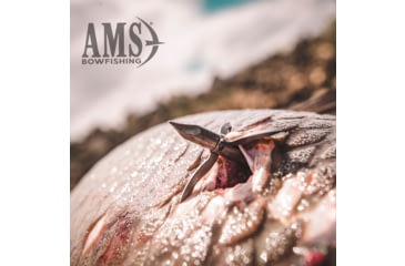 Image of AMS AnKor FX Bowfishing Arrow