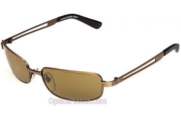 Image of AO Eclipse Ant Brown