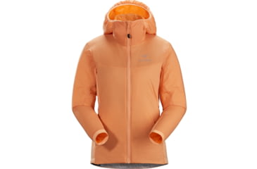 Image of Arcteryx Atom LT Hoody - Womens, Neoflora, Small, 415376