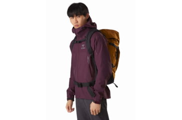 Image of Arcteryx Beta SL Hybrid Jacket - Mens, Rhapsody, Extra Small, 434498