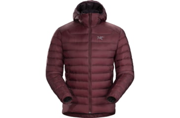 Image of Arcteryx Cerium Lt Hoody - Mens, Flux, Large, 392990