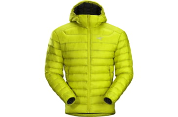 Image of Arc'teryx Cerium LT Hoody - Men's, Lichen, Large, 352759