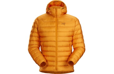 Image of Arcteryx Cerium LT Hoody - Mens, Quantum, Medium, 434900