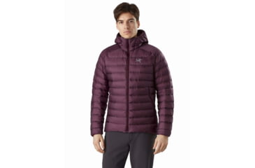 Image of Arcteryx Cerium LT Hoody - Mens, Rhapsody, Medium, 434908