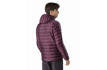 Image of Arcteryx Cerium LT Hoody - Mens, Rhapsody, Medium, 434908