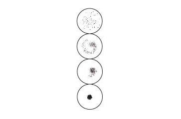 Image of Arlington RPR Test Cards and Pipets, ASI 906030-25 30-Well Cards