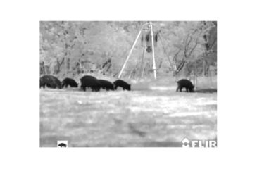 Image of Armasight Command/Pro 640 2-16x42, 60Hz Thermal Imaging Bi-Ocular, FLIR Tau 2, 640x512 17 micron 60Hz Core, 42mm Lens TAT166BN4HELI21