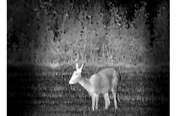 Image of Armasight Prime DC 5X Color Digital Night Vision Monocular DKMPRIMDC050001