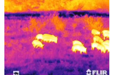 Image of Armasight Prometheus 336 2-8x25, 9 Hz, Thermal Imaging Monocular, FLIR Tau 2 - 336x256, 17m, 9Hz Core, 25mm Lens TAT179MN2PROM21