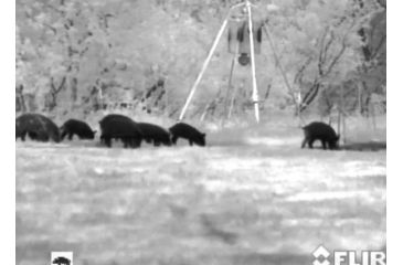 Image of Armasight Prometheus 336 2-8x25, 9 Hz, Thermal Imaging Monocular, FLIR Tau 2 - 336x256, 17m, 9Hz Core, 25mm Lens TAT179MN2PROM21