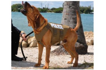 Image of Armor Express Tex 10 Carrier, Tactical Gray - K10TGY