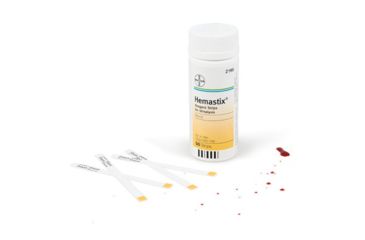Image of Armor Forensics Hemastix - Bottle Of 50 Ea - 7813