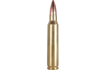 Image of Armscor Precision Inc USA .223 Remington 55 Grain Pointed Soft Point Brass Cased Rifle Ammo, 20 Rounds, FAC223-2N-20RD