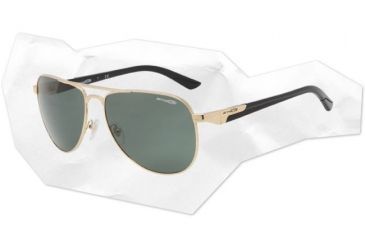 Image of Arnette One Time Sunglasses - Gold w/ Black temple Frame and Grey/Green Lens AN3061-01