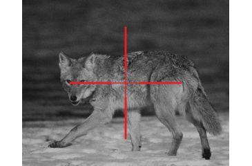 Image of ATN ARES4x-WPT Nightvision Weapon Sight NVWSARS4WP
