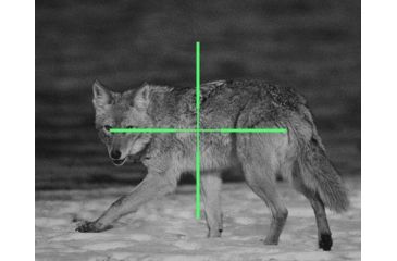 Image of ATN ARES4x-WPT Nightvision Weapon Sight NVWSARS4WP