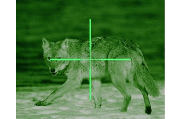 Image of ATN ARES6x-WPT Nightvision Weapon Scope NVWSARS6WP