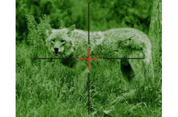 Image of ATN Night Arrow 4-WPT 4x Night Vision Weapon Sight NVWSNAR4W0