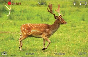 Image of ATN BinoX-HD 4x Smart Day and Night Binocular DGBNBNHDX1