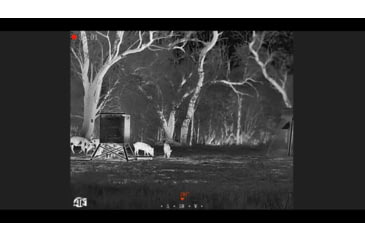 Image of ATN BlazeSeeker-210 1.5x - 12x Thermal Imaging Monocular 12 Micron, 256x192, Black, TIMNBLS210