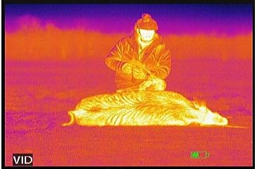 Image of ATN Mini-Thor 320-3x Thermal Imaging Weapon Sight TIWSMT323C