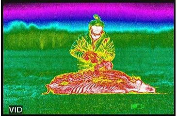 Image of ATN Mini-Thor 320-3x Thermal Imaging Weapon Sight TIWSMT323C