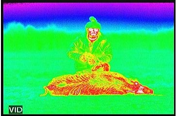 Image of ATN Mini-Thor 320-3x Thermal Imaging Weapon Sight TIWSMT323C