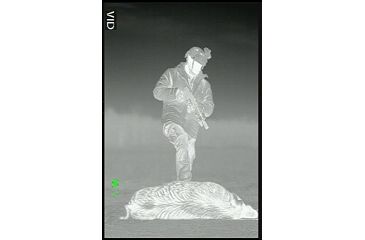 Image of ATN Mini-Thor 320-3x Thermal Imaging Weapon Sight TIWSMT323C