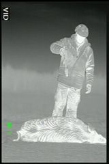 Image of ATN Mini-Thor 320-3x Thermal Imaging Weapon Sight TIWSMT323C