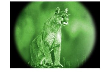 Image of ATN Night Cougar LT Night Vision Goggles NVGONCLT10