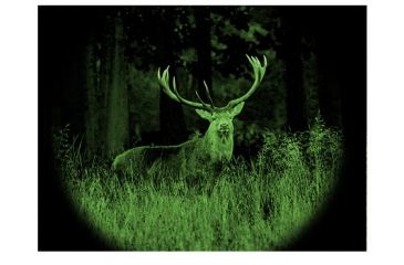 Image of ATN Night Raven 2 Night Vision Binoculars