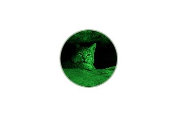 Image of ATN Night Shadow II Generation Night Vision Device, Image